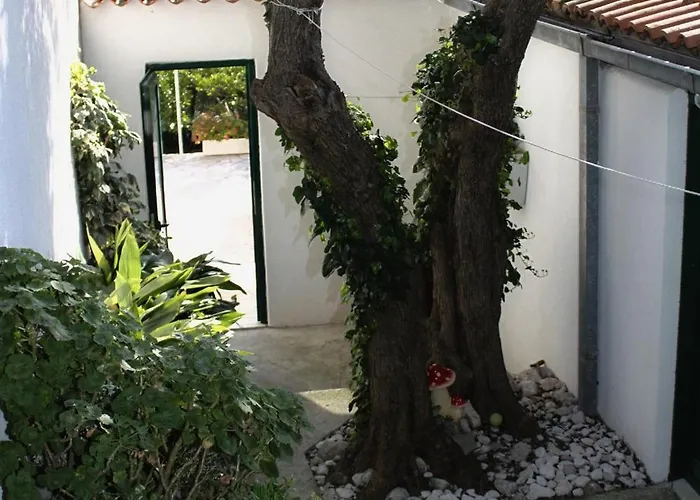 5266b Апартаменты Игране